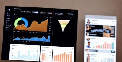 Interfaz digital optimiza la experiencia visual